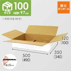【宅配100サイズ】強化材質 ダンボール箱 （白・薄型・490×340×100mm)