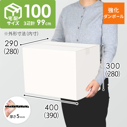 【宅配100サイズ】強化材質 ダンボール箱 （白・KYS-DA005）