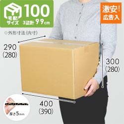 【広告入】宅配100サイズ ダンボール箱（K-DA005）