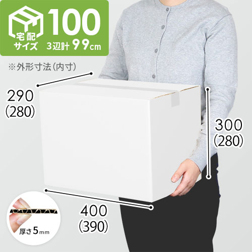 【宅配100サイズ】白ダンボール箱・定番段ボール箱（DA005-S）