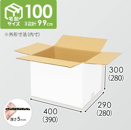 【宅配100サイズ】ダンボール箱（白・DA005-S）