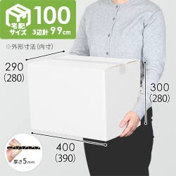 【宅配100サイズ】ダンボール箱（白・DA005-S）