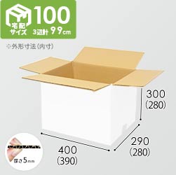 【宅配100サイズ】ダンボール箱（白・DA005-S）