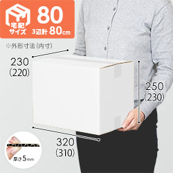 【宅配80サイズ】白ダンボール箱・（A4サイズ）