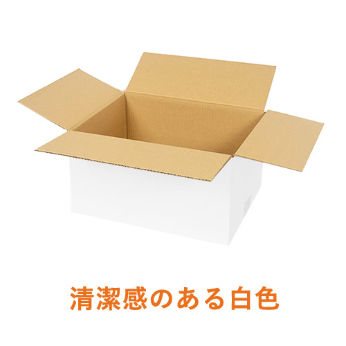 【宅配80サイズ】ダンボール箱（白・佐川エクスプレスBOX・M）