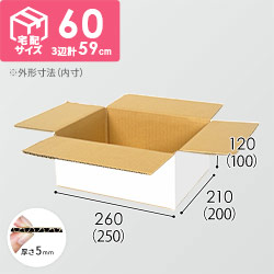 【宅配60サイズ】ダンボール箱（白・DA001-S）