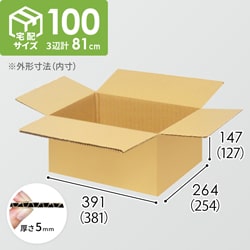 【宅配100サイズ】ダンボール箱（381×254×127mm）5mm A/F K6×強化芯180g×K6