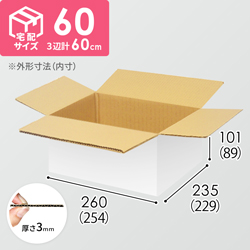 【Casey様用】梱包箱 宅配60サイズ】ダンボール箱（260×220×90mm）3mm B/F C5×C5