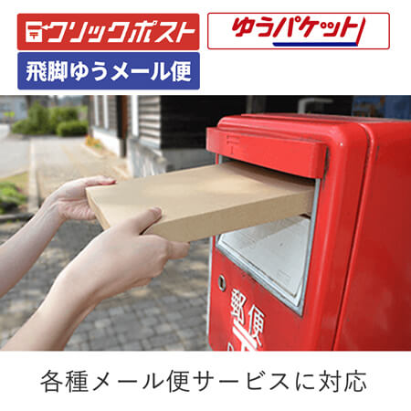 【クロネコゆうパケット・クリックポスト・ゆうパケット】厚さ3cm・ジッパー付きケース（A4サイズ）シャツ用