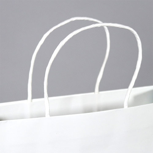 オリジナル印刷紙袋(晒クラフト紙・OPニス・幅180×マチ70×高さ250mm・アクリル丸紐(水色)・短納期)