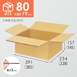 【宅配80サイズ】ダンボール箱（385×228×145mm）3mm B/F C5×C5