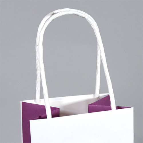 オリジナル印刷紙袋(晒クラフト紙・マットPP・幅120×マチ110×高さ360mm・アクリル丸紐(白)・短納期)