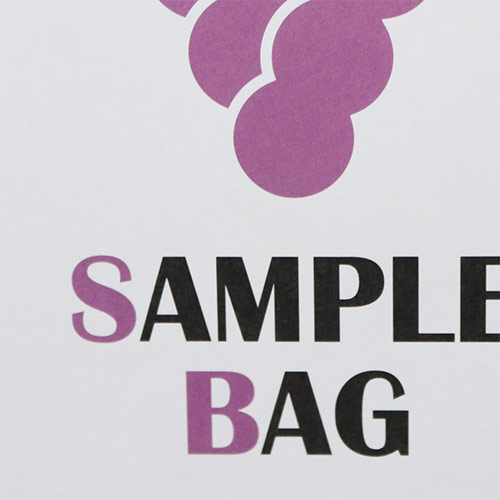 オリジナル印刷紙袋(晒クラフト紙・マットPP・幅120×マチ110×高さ360mm・アクリル丸紐(茶)・短納期)