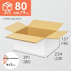 【宅配80サイズ】ダンボール箱（385×228×145mm）3mm B/F 白C5×C5