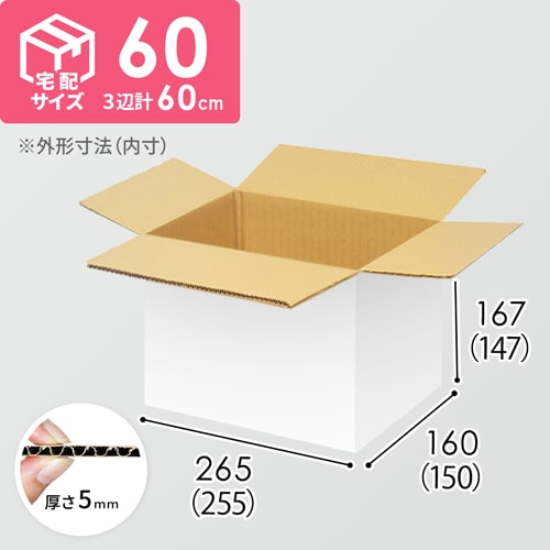 【宅配60サイズ】ダンボール箱（255×150×147mm）5mm A/F 白C5×C5