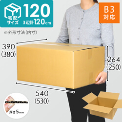 【宅配120サイズ】B3サイズ 段ボール箱