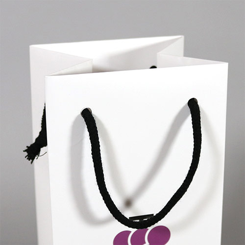 オリジナル印刷紙袋(コート紙・グロスPP・幅120×マチ110×高さ360mm・アクリル平紐(赤)・短納期)