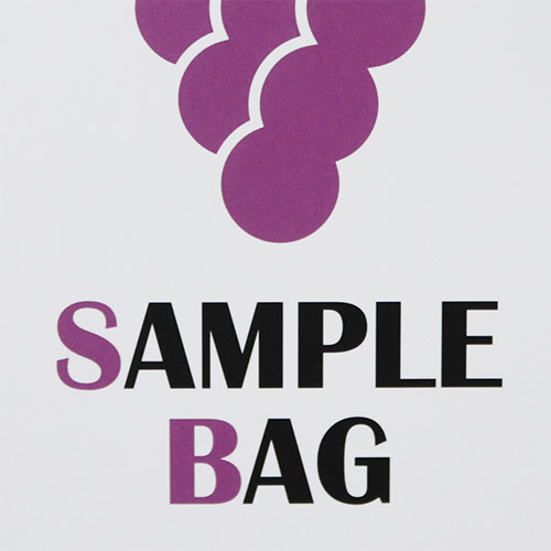 オリジナル印刷紙袋(コート紙・グロスPP・幅120×マチ110×高さ360mm・アクリル丸紐(青)・通常納期)