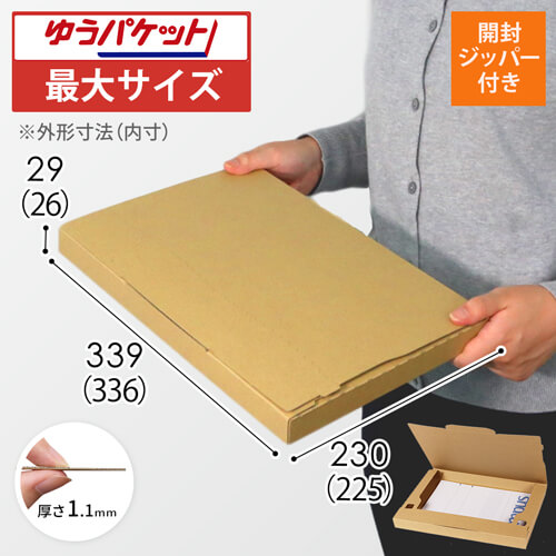 【クリックポスト・ゆうパケット最大】A4厚さ3cm・ジッパー付きケース