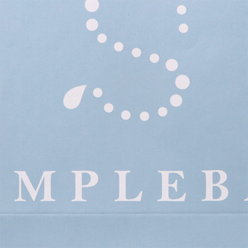 オリジナル印刷紙袋(コート紙・グロスPP・幅420×マチ110×高さ320mm・アクリル平紐(赤)・通常納期)