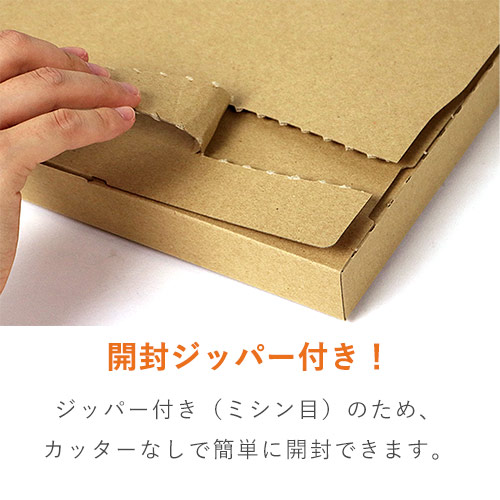【ネコポス・クロネコゆうパケット】厚さ2.5cm・ジッパー付きケース（A4サイズ）