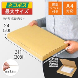 【ネコポス最大】厚さ2.5cm・ジッパー付きケース（A4サイズ）