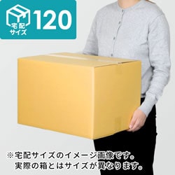 【宅配120サイズ】生活家電、AV機器、PC・周辺機器等向けダンボール箱（450×330×380mm）3mm B/F C5×C5