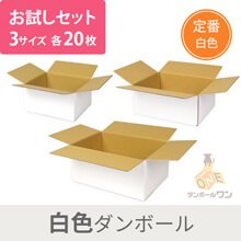 【セット】白定番ダンボール箱 3種 各20枚 