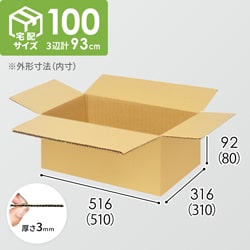 【宅配100サイズ】生活雑貨、家具、インテリア向けダンボール箱（510×310×80mm）3mm B/F C5×C5