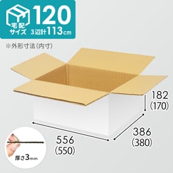 【宅配120サイズ】生活家電、AV機器、PC・周辺機器等向けダンボール箱（550×380×170mm）3mm B/F 白C5×C5