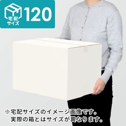 【宅配120サイズ】生活家電、AV機器、PC・周辺機器等向けダンボール箱（450×330×380mm）3mm B/F 白C5×C5