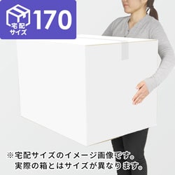 【宅配170サイズ】生活家電、AV機器、PC・周辺機器等向けダンボール箱（600×600×425mm）3mm B/F 白C5×C5