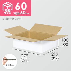 【宅配60サイズ】自動車、自動二輪車、パーツ等向けダンボール箱（273×213×88mm）3mm B/F 白C5×C120