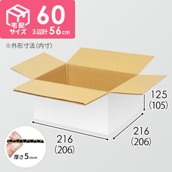 宅配60サイズ】食品・飲料・酒類向けダンボール箱（200×200×100mm）5mm