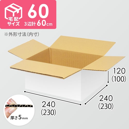 【宅配60サイズ】食品・飲料・酒類向けダンボール箱（230×230×100mm）5mm A/F 白C5×C5
