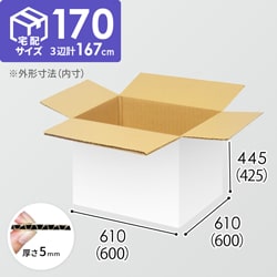 【宅配170サイズ】生活家電、AV機器、PC・周辺機器等向けダンボール箱（600×600×425mm）5mm A/F 白C5×C5