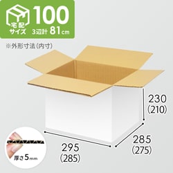 宅配100サイズ】書籍、映像・音楽ソフト向けダンボール箱（285×275