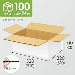 【宅配100サイズ】生活雑貨、家具、インテリア向けダンボール箱（510×310×80mm）5mm A/F 白C5×C5