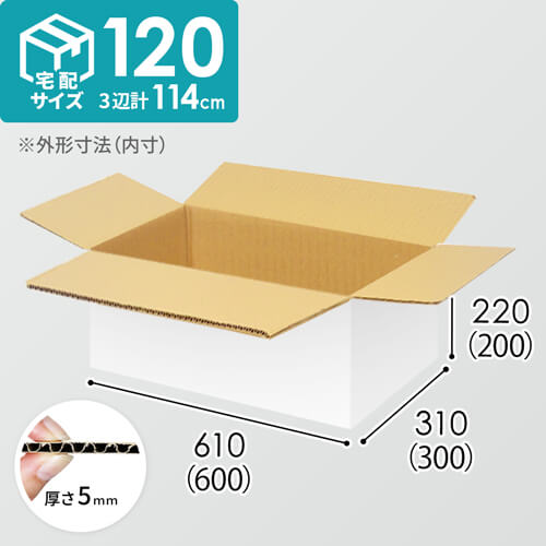 【宅配120サイズ】生活家電、AV機器、PC・周辺機器等向けダンボール箱（600×300×200mm）5mm A/F 白C5×C5