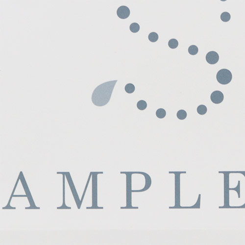 オリジナル印刷紙袋(コート紙・グロスPP・幅320×マチ200×高さ300mm・アクリル平紐(緑)・通常納期)