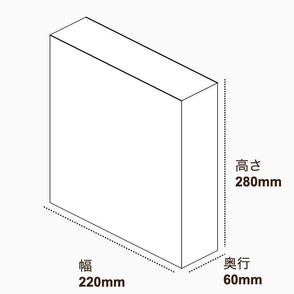 オリジナル印刷パッケージ（化粧箱（差し込み式）・220×60×280mm・コートボール紙 310g・OPニス・10営業日）