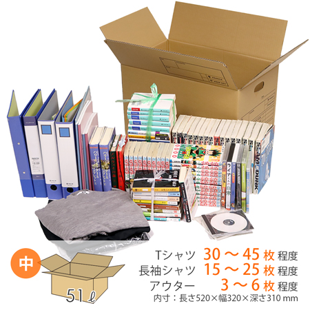 【宅配120サイズ】 引っ越し・梱包用 ダンボール箱（持ち手穴つき）