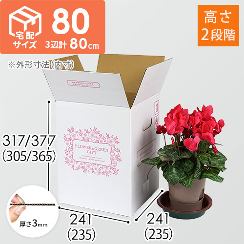 【宅配80サイズ】フラワーギフトBOX（外箱のみ）