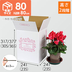 【宅配80サイズ】フラワーギフトBOX（外箱のみ）