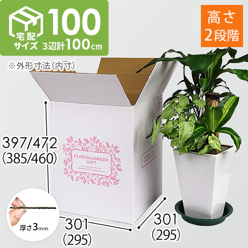 フラワーギフト 発送BOX（外箱のみ）【宅配100サイズ】