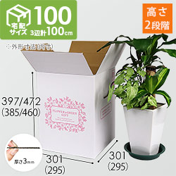 【宅配100サイズ】フラワーギフトBOX（外箱のみ）