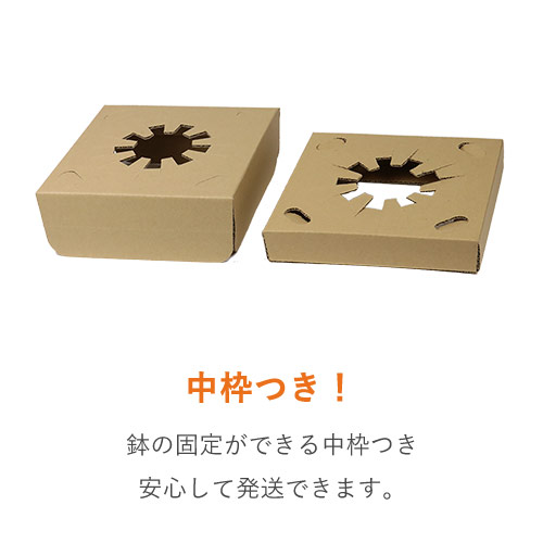 フラワーギフト 発送BOX（鉢押えセット）【宅配80サイズ】