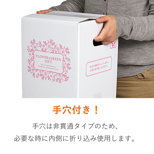 フラワーギフト 発送BOX（鉢押えセット）【宅配80サイズ】