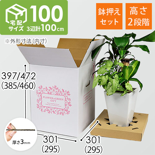 フラワーギフト 発送BOX（鉢押えセット）【宅配100サイズ