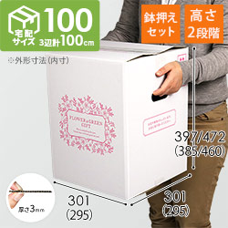 フラワーギフト 発送BOX（鉢押えセット）【宅配100サイズ】 